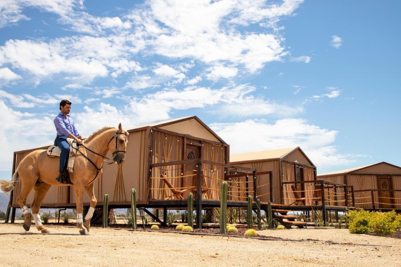 Indomito Resort & Hotel Boutique Valle de Guadalupe Εξωτερικό φωτογραφία